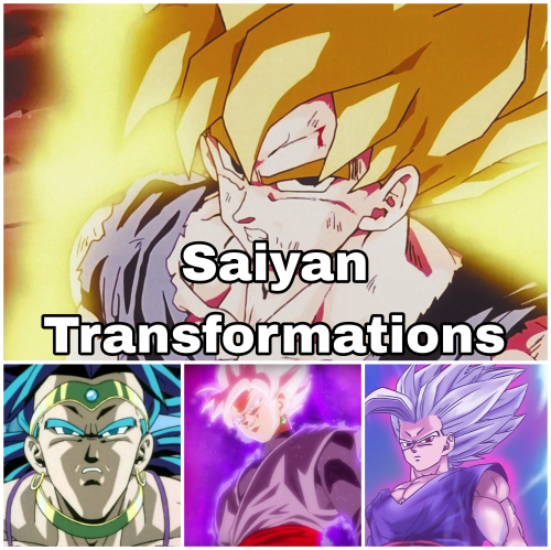 Create A Saiyan Transformations Tier List TierMaker