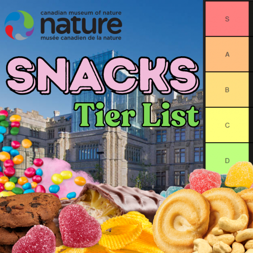 Create A Programs Snacks Tier List Tiermaker