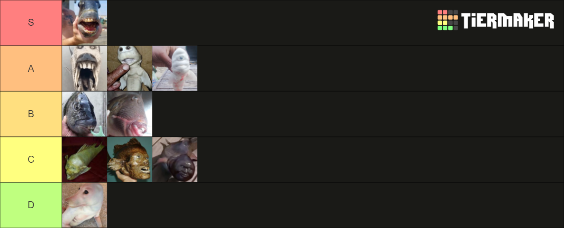 Best Fish Tier List Community Rankings Tiermaker