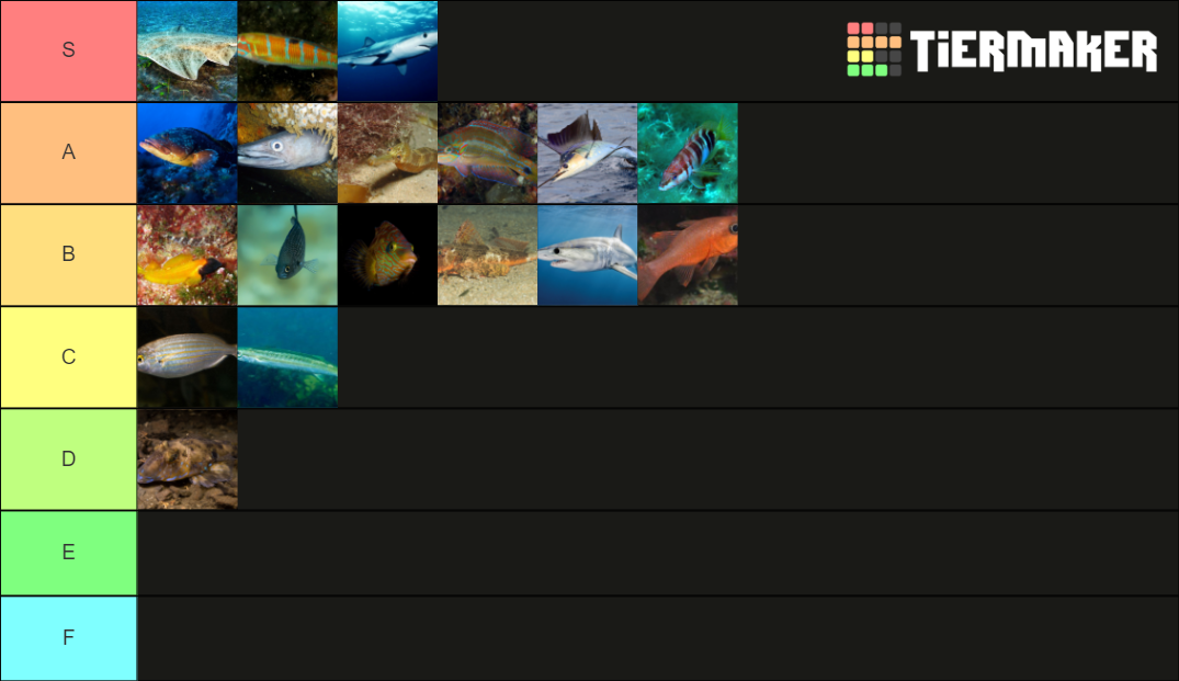 Mediterranean Fish Tier List Community Rankings Tiermaker