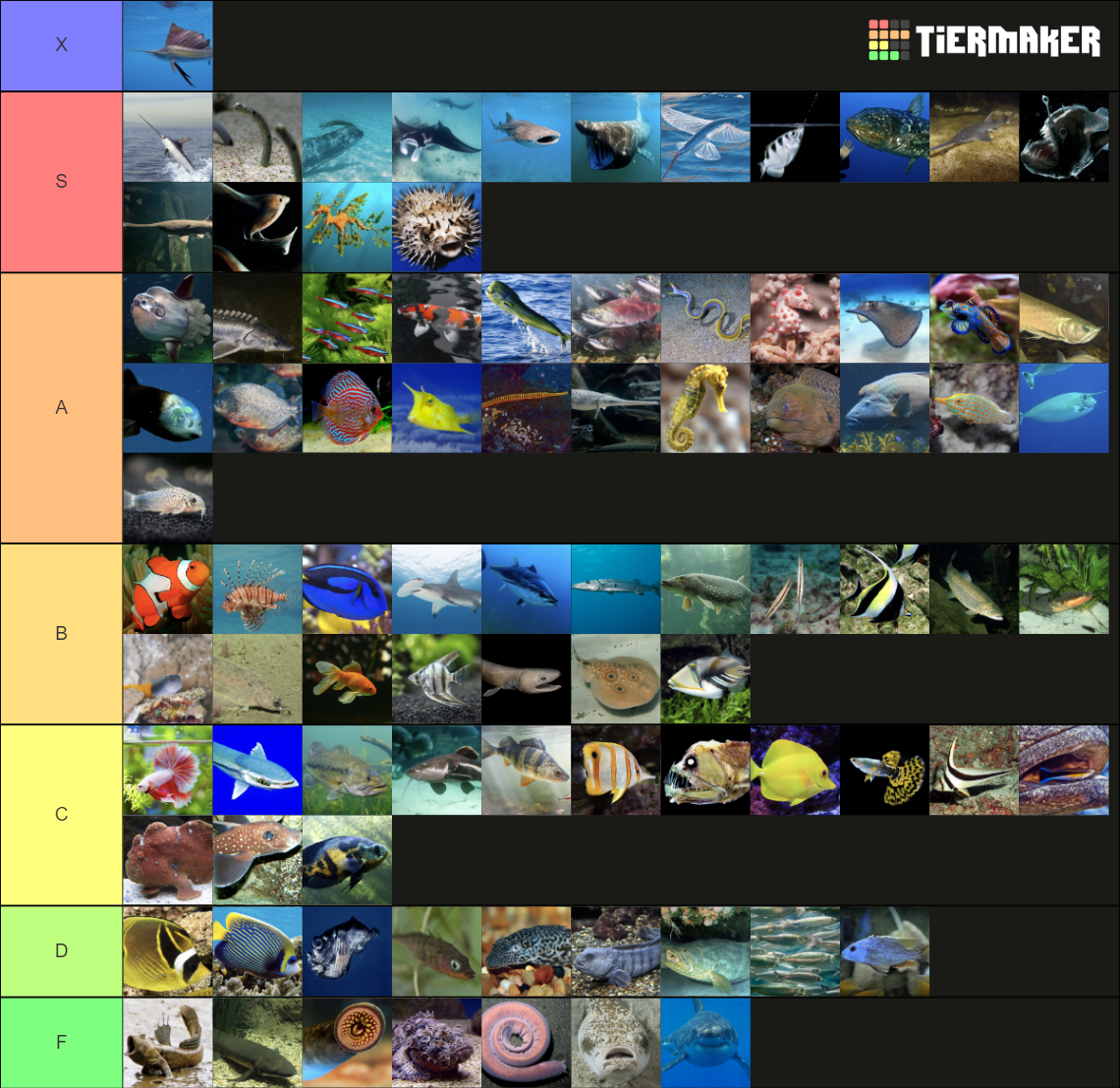 Fish Tier List Community Rankings Tiermaker