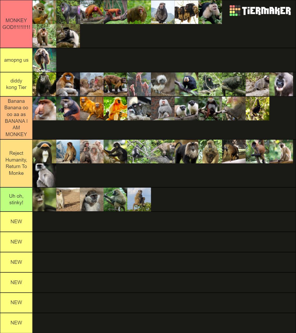 Monkey Tier List Community Rankings TierMaker