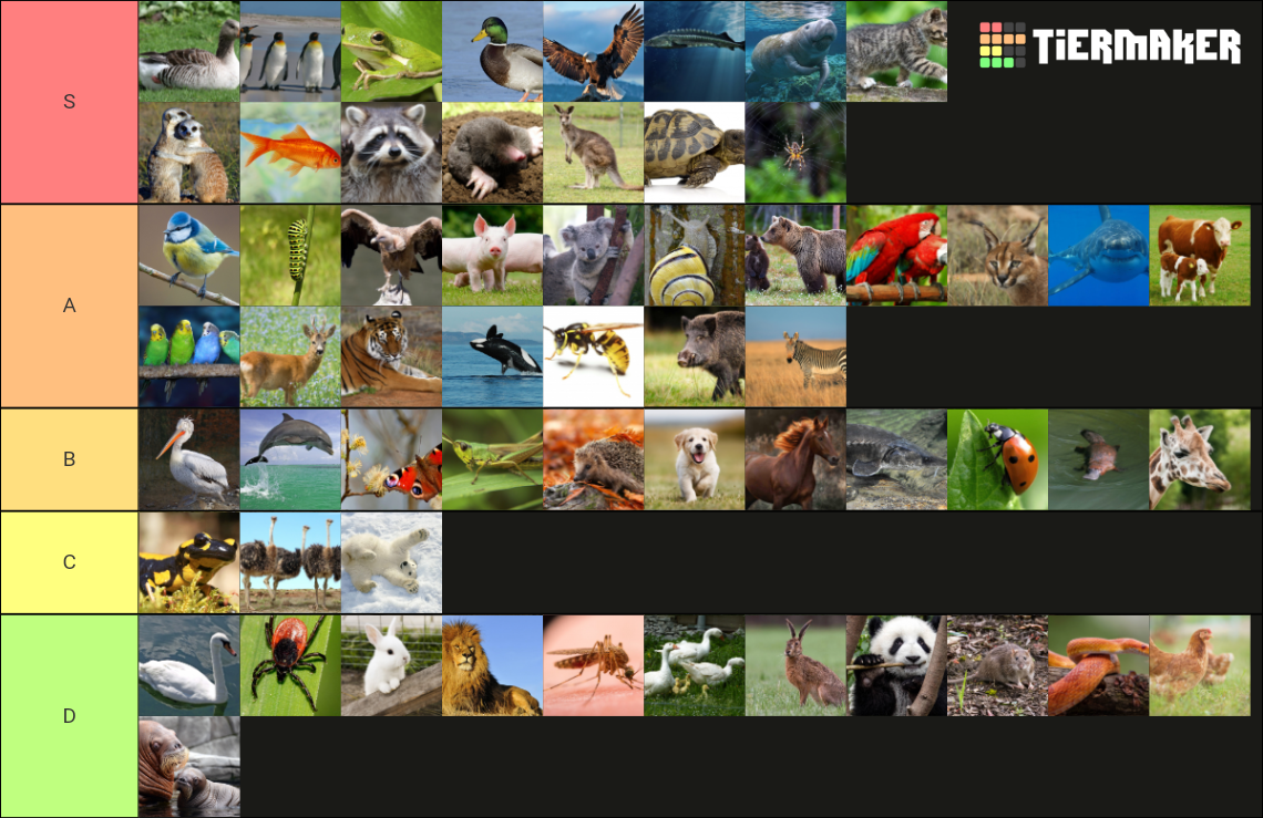 Tiere Tier List Community Rankings TierMaker