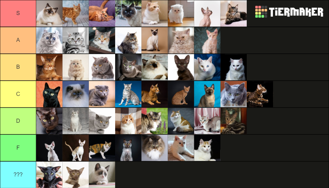 Cat Breeds Ultimatum Tier List Community Rankings Tiermaker