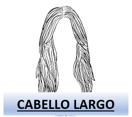 Captura De Pantalla 2025 04 14 111535 — Rasgos Atractivos option 1