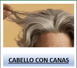 Captura De Pantalla 2025 04 14 111652 — Rasgos Atractivos option 8
