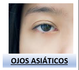 Captura De Pantalla 2025 04 14 111953 — Rasgos Atractivos option 22