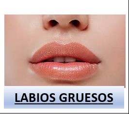 Captura De Pantalla 2025 04 14 113529 — Rasgos Atractivos option 57