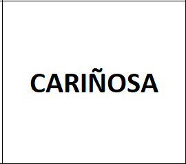 Captura De Pantalla 2025 04 14 115414 — Rasgos Atractivos option 94