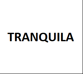 Captura De Pantalla 2025 04 14 115430 — Rasgos Atractivos option 96