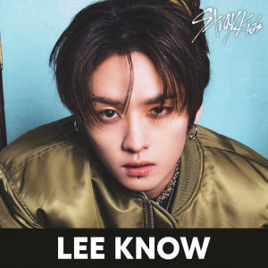Zzzzz 1704000824straykidsleeknow — kpop idols (with names!) option 653