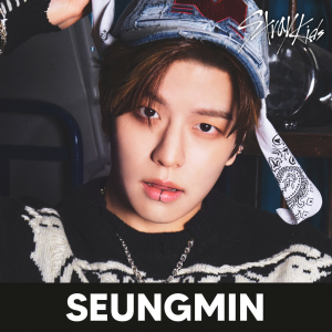 Zzzzz 1704000824straykidsseungmin — kpop idols (with names!) option 658