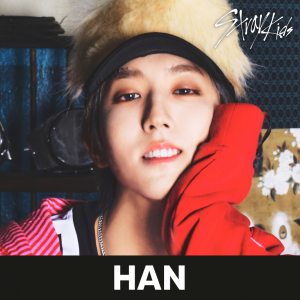 Zzzzz 1704000825straykidshan — kpop idols (with names!) option 656