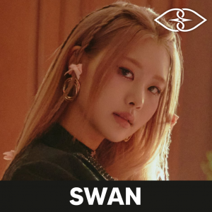 Zzzzz 1704001645purplekissswan — kpop idols (with names!) option 582