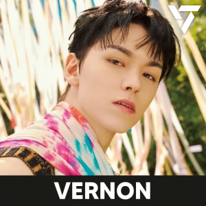Zzzzz 1704002328seventeenvernon — kpop idols (with names!) option 622