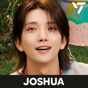 Zzzzz 1704002329seventeenjoshua — kpop idols (with names!) option 625