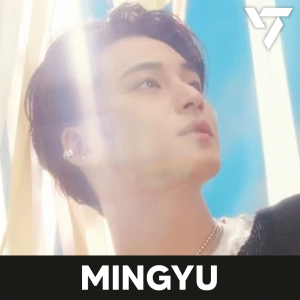 Zzzzz 1704002329seventeenmingyu — kpop idols (with names!) option 621
