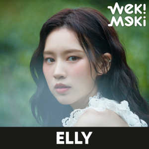 Zzzzz 1704069264wekimekielly — kpop idols (with names!) option 802