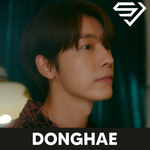 Zzzzz 1704095410superjuniordonhae — kpop idols (with names!) option 669