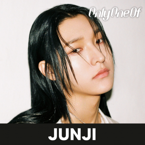 Zzzzz 1704605031onlyoneofjunji — kpop idols (with names!) option 567
