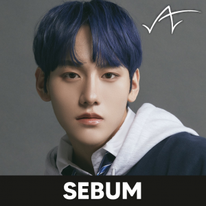 Zzzzz 1709887352wakersebum — kpop idols (with names!) option 788
