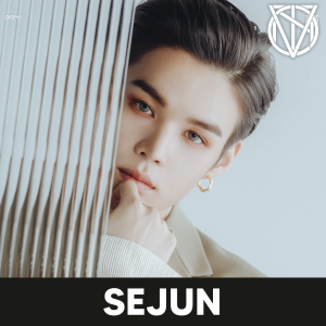 Zzzzz 1722154414victonsejun — kpop idols (with names!) option 779