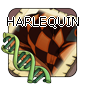 1harlequin — Flight Rising - Modern Genes option 16