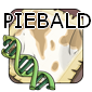 1piebald — Flight Rising - Modern Genes option 27