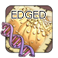 2edged — Flight Rising - Modern Genes option 56