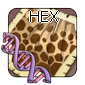 2hex — Flight Rising - Modern Genes option 64