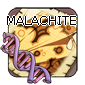 2malachite — Flight Rising - Modern Genes option 67