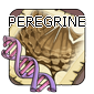 2peregrine — Flight Rising - Modern Genes option 75