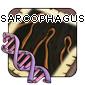 2sarcophagus — Flight Rising - Modern Genes option 79