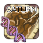 2saturn — Flight Rising - Modern Genes option 80