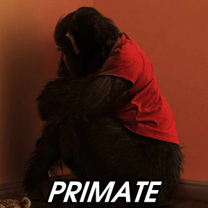 Zzzzz 1772832731primate — 2026 Media (Pit) option 144