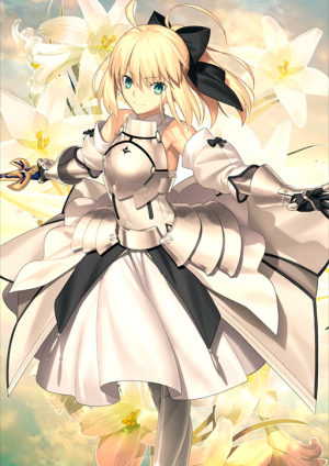S004stage1 — All FGO Servants option 4
