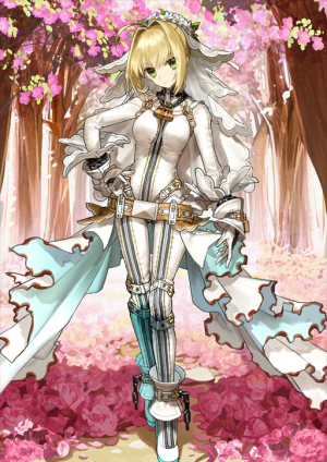 Zzzzz 1746853998s090stage1 — All FGO Servants option 89