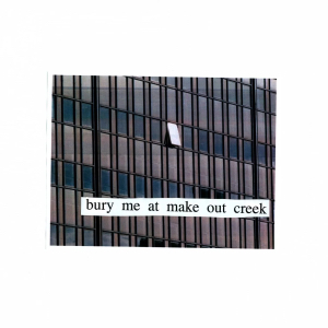 Burymeatmakeoutcreek — Mitski Albums (2026) option 4