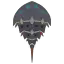 Zzzzz 1774320180ec03100 — 99%(ish) of all the Monsters/Creatures in Monster Hunter 6.0 option 789