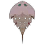 Zzzzz 1774320180ec03101 — 99%(ish) of all the Monsters/Creatures in Monster Hunter 6.0 option 790