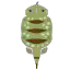 Zzzzz 1774320180ec04200 — 99%(ish) of all the Monsters/Creatures in Monster Hunter 6.0 option 804