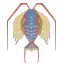 Zzzzz 1774320180ec05100 — 99%(ish) of all the Monsters/Creatures in Monster Hunter 6.0 option 811