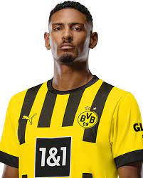 21haller — Borussia Dortmund Kader 23/24 (Hinrunde) option 13