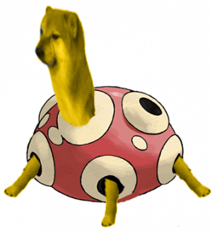 100shuckle — Pokemon XD Gale of Darkness In-game Tier List option 100