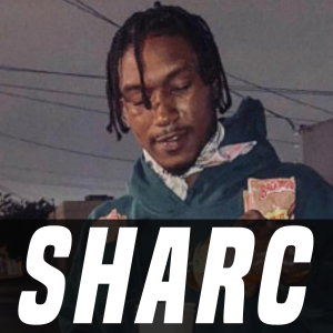 Zzzzz 17087076771000009873 — EVERY RAPPER EVER (2026) option 1900