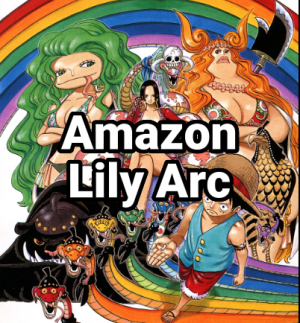 Zzzzz 1706397498image2024 01 27171103681 — One Piece Arcs (Canon + Filler) option 32