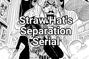 Zzzzz 1706413089screenshot20240127213647capcut — One Piece Arcs (Canon + Filler) option 37
