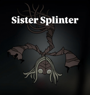 Img1505 — Hollow Knight : Silksong bossfight option 15