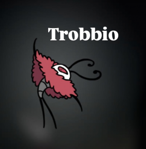 Img1517 — Hollow Knight : Silksong bossfight option 27