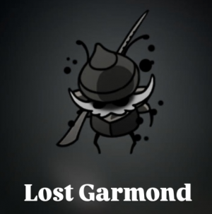 Img1523 — Hollow Knight : Silksong bossfight option 33